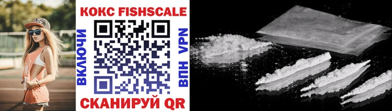 hydra ONION  закладка  Яранск  КОКАИН Fish Scale 